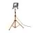 Ledvance LED Floodlight Worklight Tripod Dark Grey 50W 4500lm 120D - 840 Cool White | IP65 - Symmetrical